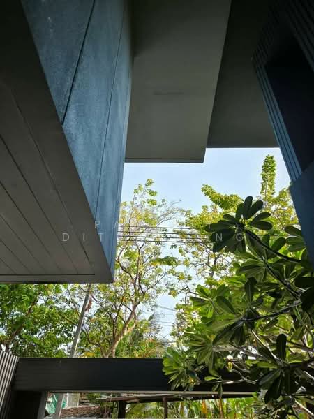 3-BR Townhouse, Bangkok, Samsen Nok, Huai Khwang, Bangkok, 3 Bedrooms, 228 sqm, Townhouse For Rent, by Pasupit Ditbanjong, 500329812 - DDproperty.com