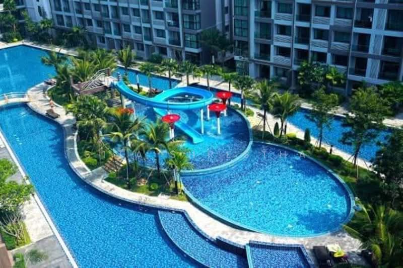 The Palm Wongamat Beach : เดอะ ปาล์ม วงศ์อมาตย์, ชลบุรี, ถนน ซอย นาเกลือ 16, นาเกลือ, บางละมุง, ชลบุรี, 331 ตร.ม., คอนโด ขาย, โดย Sita Shrestha, 500329852 - DDproperty.com