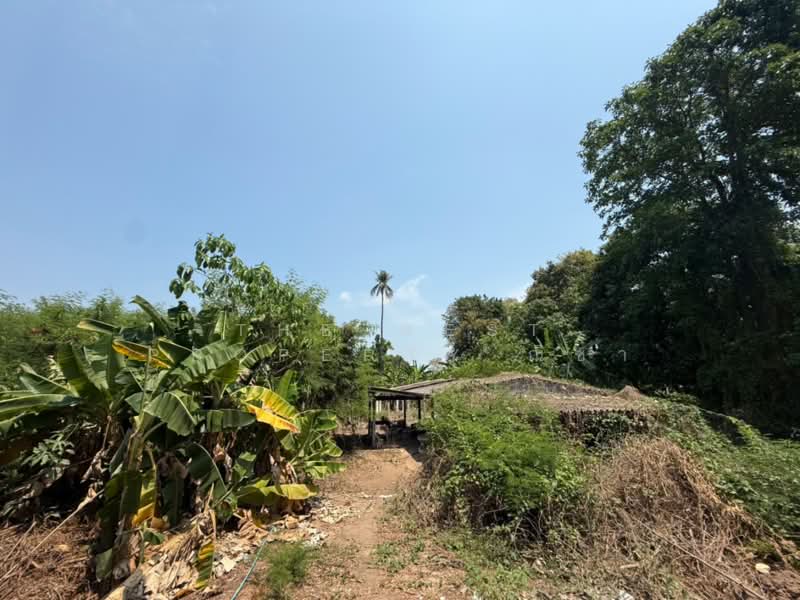 ที่ดินวัดจันทร์ พิษณุโลก, พิษณุโลก, วัดจันทร์, เมืองพิษณุโลก, พิษณุโลก, 6,168 ตร.ม., ที่ดิน ขาย, โดย The Best Property ณิชา, 500330000 - DDproperty.com