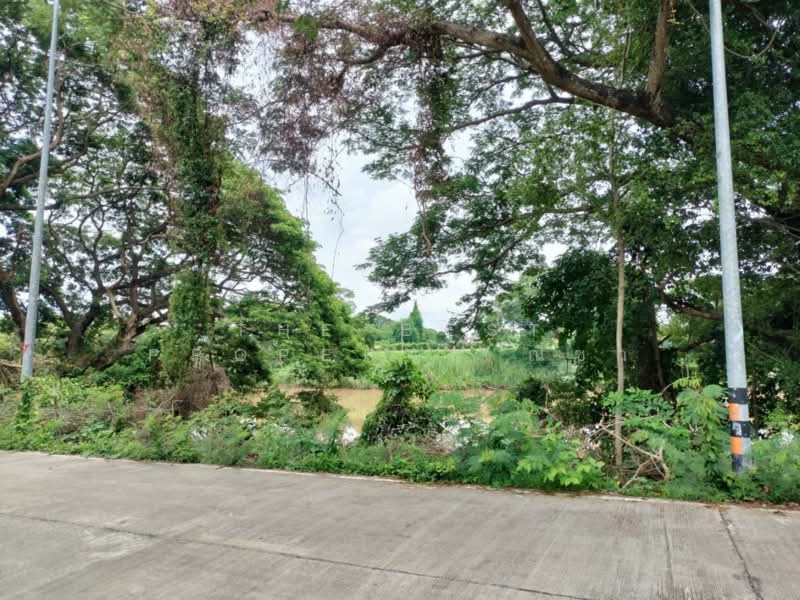 ที่ดินวัดจันทร์ พิษณุโลก, Phitsanulok, Wat Chan, Muang Phitsanulok, Phitsanulok, , 6,168 sqm, Land For Sale, by The Best Property ณิชา, 500330000 - DDproperty.com