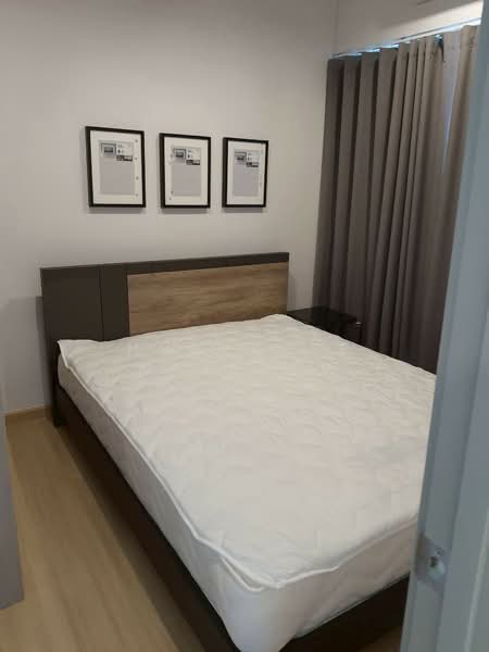 Whizdom Connect Sukhumvit, Bangkok, 1 Soi Piyibut 1, Sukhumvit Road, Bang Na, Bangkok, 1 Bedroom, 27 sqm, Condo For Rent, by Nutnaree Nakkaew, 500330123 - DDproperty.com