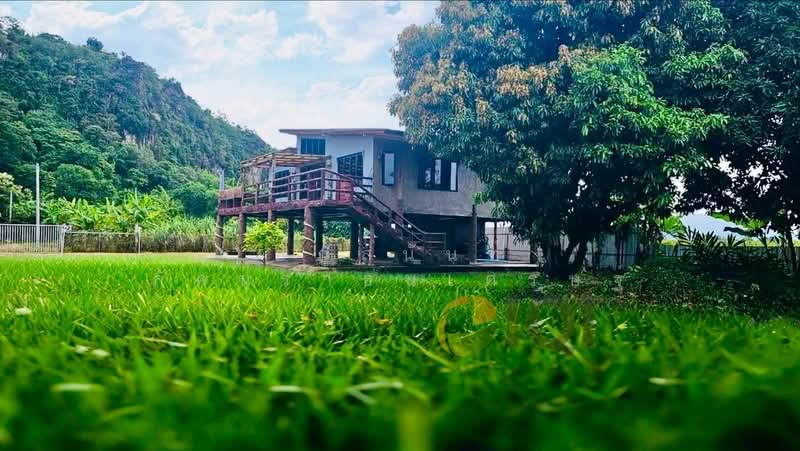 บ้านเดี่ยวหลังใหญ่ จ.อุทัยธานี, อุทัยธานี, บ้านไร่, อุทัยธานี, 366 ตร.ม., บ้านเดี่ยว ขาย, โดย อภัสนันท์ ภัคนราธนเศรษฐ์, 500330135 - DDproperty.com