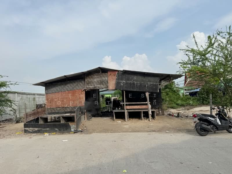 ที่ดินบางปะกง ฉะเชิงเทรา, ฉะเชิงเทรา, บางปะกง, ฉะเชิงเทรา, 384 ตร.ม., ที่ดิน ขาย, โดย The Best Property กีต้าร์, 500330327 - DDproperty.com