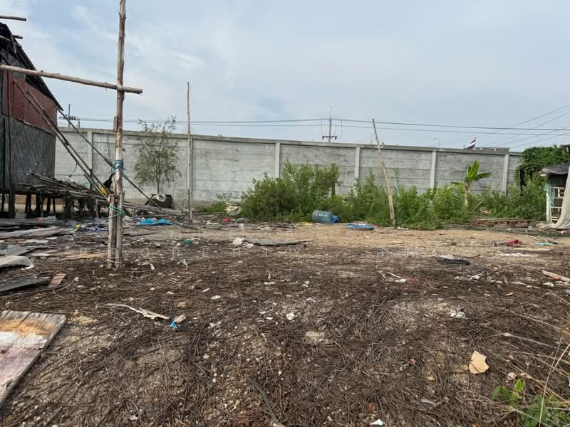 ที่ดินบางปะกง ฉะเชิงเทรา, Chachoengsao, Bang Pakong, Chachoengsao, , 384 sqm, Land For Sale, by The Best Property  กีต้าร์, 500330327 - DDproperty.com