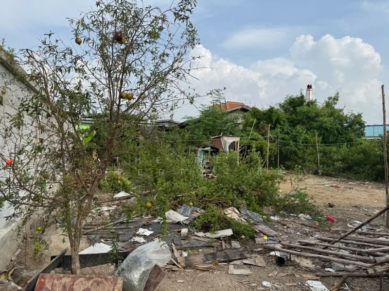 ที่ดินบางปะกง ฉะเชิงเทรา, Chachoengsao, Bang Pakong, Chachoengsao, , 384 sqm, Land For Sale, by The Best Property  กีต้าร์, 500330327 - DDproperty.com