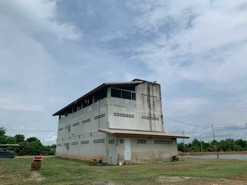 Studio House, Chon Buri (Pattaya), Bang Hak, Phan Thong, Chon Buri (Pattaya), Studio, 47 sqm, Single Detached House For Sale, by Thitiporn Pawikham, 500330588 - DDproperty.com