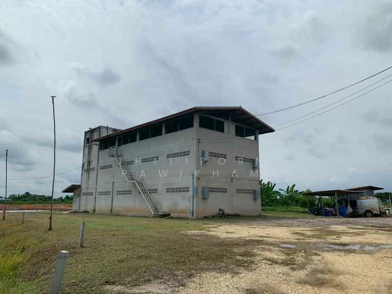 Studio House, Chon Buri (Pattaya), Bang Hak, Phan Thong, Chon Buri (Pattaya), Studio, 47 sqm, Single Detached House For Sale, by Thitiporn Pawikham, 500330588 - DDproperty.com