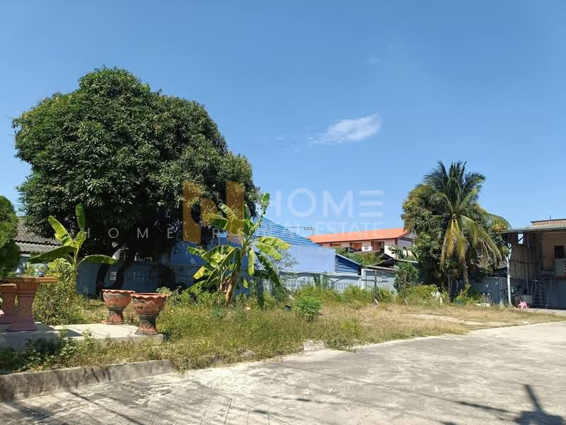 ที่ดิน 2 งาน 11 ตร.ว ถ.ชากยายจีน2 ต.ทุ่งสุขลา, Chon Buri (Pattaya), Thung Suk La, Si Racha, Chon Buri (Pattaya), , 844 sqm, Land For Sale, by HOME Real Estate Service, 500330649 - DDproperty.com