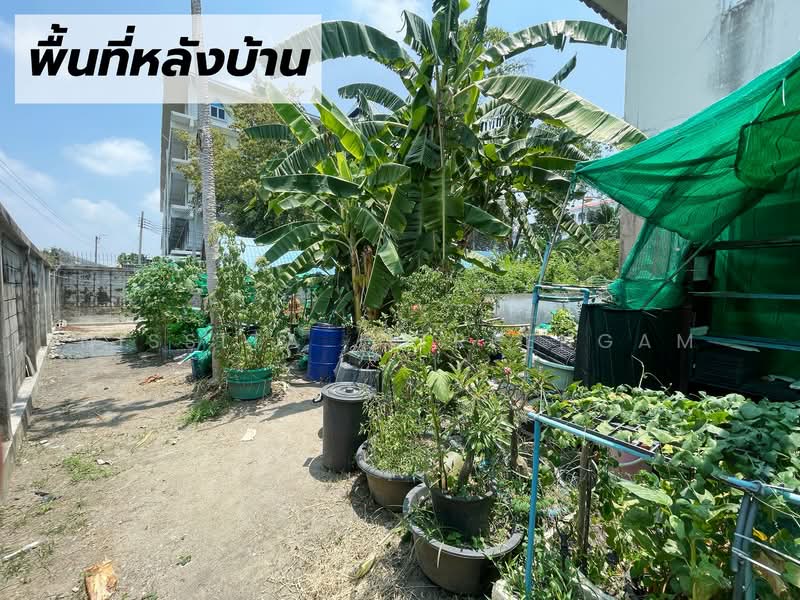ซอย หมู่บ้านสุวรรณ-สุวรรณภูมิ, สมุทรปราการ, บางพลีใหญ่, บางพลี, สมุทรปราการ, 324 ตร.ม., บ้านเดี่ยว ขาย, โดย Nissita Jitreengam, 500330685 - DDproperty.com