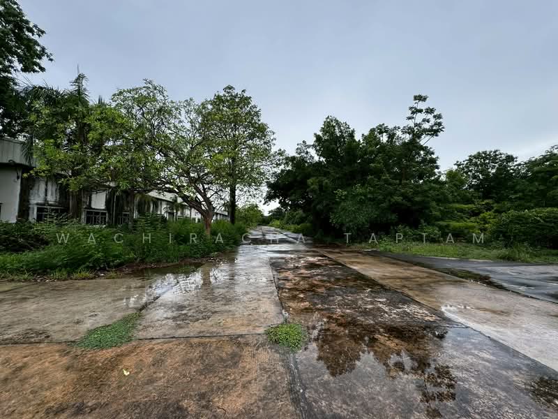 Land for sale with factory included, Prachinburi, Prachin Buri, 304, Nong Phrong, Sri Maha Pho, Prachin Buri, , 80,000 sqm, Warehouse/Factory For Sale, by Wachiracha Taptam, 500330844 - DDproperty.com