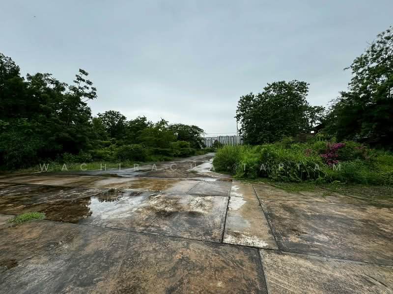 Land for sale with factory included, Prachinburi, Prachin Buri, 304, Nong Phrong, Sri Maha Pho, Prachin Buri, , 80,000 sqm, Warehouse/Factory For Sale, by Wachiracha Taptam, 500330844 - DDproperty.com