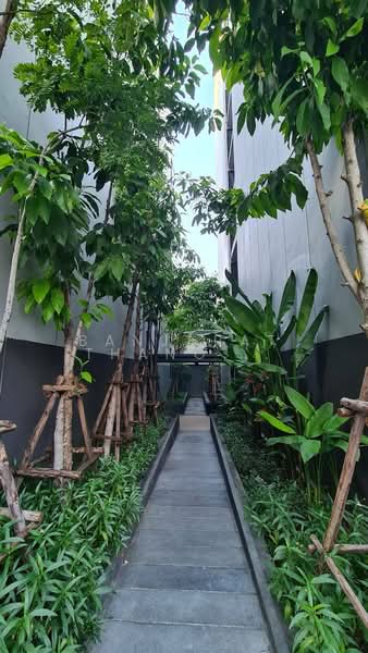Vtara Sukhumvit 36, Bangkok, 118 Soi Saen Sabai, Phra Kanong, Khlong Toei, Bangkok, 1 Bedroom, 30 sqm, Condo For Rent, by Banjarat Thanomchat, 500330853 - DDproperty.com