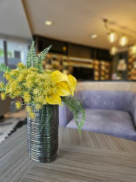 Quintara Phume Sukhumvit 39, Bangkok, 73 Soi Sukhumvit 39, Khlong Tan Nua, Watthana, Bangkok, 1 Bedroom, 31 sqm, Condo For Rent, by Kawinthip Wisesdenchai, 500330886 - DDproperty.com