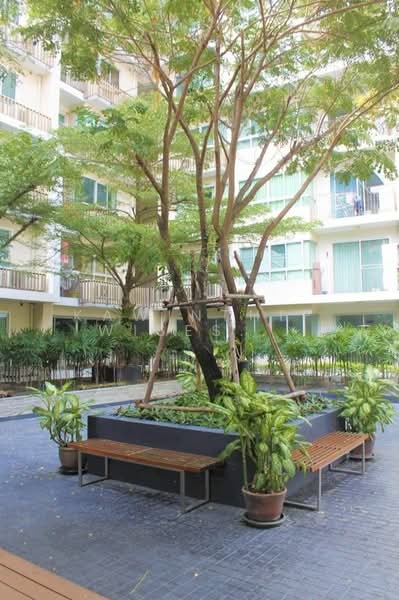 The Clover Thonglor Residence : เดอะ โคลเวอร์ ทองหล่อ เรสซิเดนซ์, กรุงเทพ, ซอยสุขุมวิท 55, คลองตันเหนือ, วัฒนา, กรุงเทพ, 36 ตร.ม., คอนโด ให้เช่า, โดย Kawinthip Wisesdenchai, 500331135 - DDproperty.com