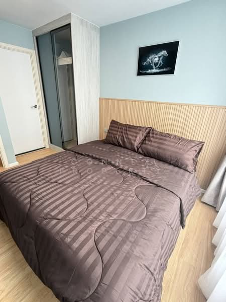 Atmoz Kanaal Rangsit, Pathum Thani, Rangsit Pathum Thani Road, Bang Phun, Muang Pathum Thani, Pathum Thani, 1 Bedroom, 29 sqm, Condo For Rent, by Connex Property, 500331314 - DDproperty.com