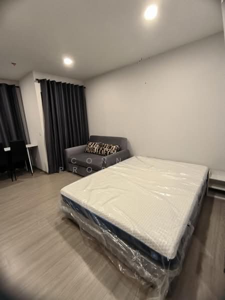 Aspire Sukhumvit-Rama 4, Bangkok, 4404 Rama 4 Road, Phra Kanong, Khlong Toei, Bangkok, 1 Bedroom, 27 sqm, Condo For Rent, by Connex Property, 500331325 - DDproperty.com