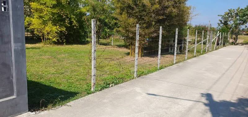 ขาย ที่ดิน อำเภอหางดง, Chiang Mai, Ban Waen, Hang Dong, Chiang Mai, , 400 sqm, Land For Sale, by Armon Yuenyong, 500331420 - DDproperty.com