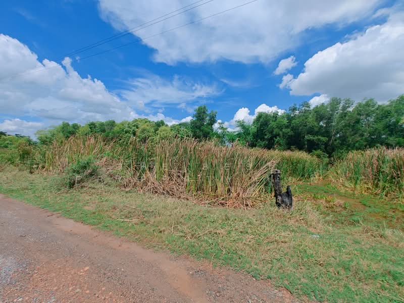 ที่ดินหนองจอก กรุงเทพมหานคร, Bangkok, Khlong Sibsong, Nong Chok, Bangkok, , 812 sqm, Land For Sale, by The Best Property ปุ้ยกี้, 500331558 - DDproperty.com
