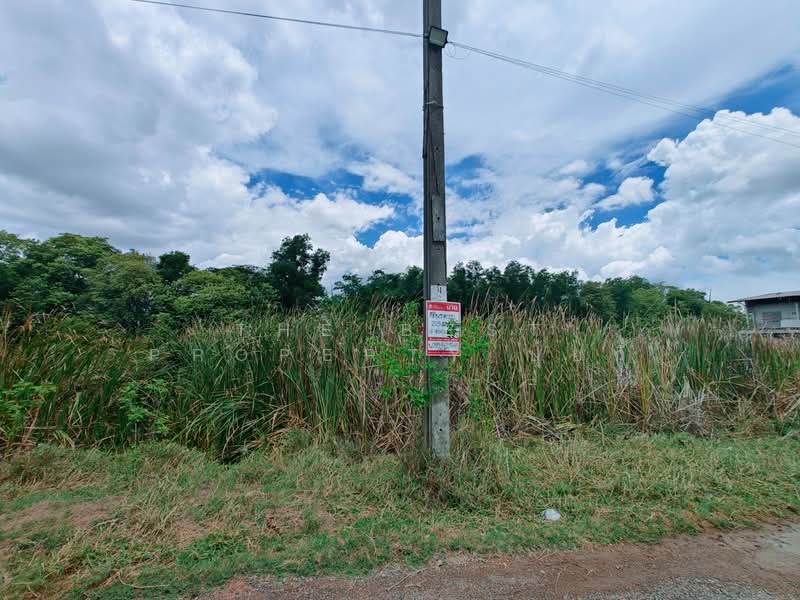 ที่ดินหนองจอก กรุงเทพมหานคร, Bangkok, Khlong Sibsong, Nong Chok, Bangkok, , 812 sqm, Land For Sale, by The Best Property ปุ้ยกี้, 500331558 - DDproperty.com