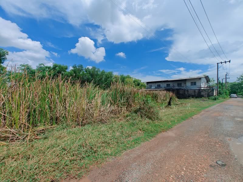 ที่ดินหนองจอก กรุงเทพมหานคร, Bangkok, Khlong Sibsong, Nong Chok, Bangkok, , 812 sqm, Land For Sale, by The Best Property ปุ้ยกี้, 500331558 - DDproperty.com