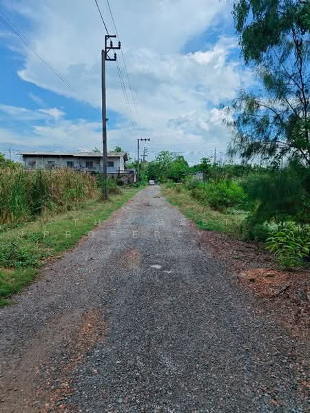 ที่ดินหนองจอก กรุงเทพมหานคร, กรุงเทพ, คลองสิบสอง, หนองจอก, กรุงเทพ, 812 ตร.ม., ที่ดิน ขาย, โดย The Best Property ปุ้ยกี้, 500331558 - DDproperty.com
