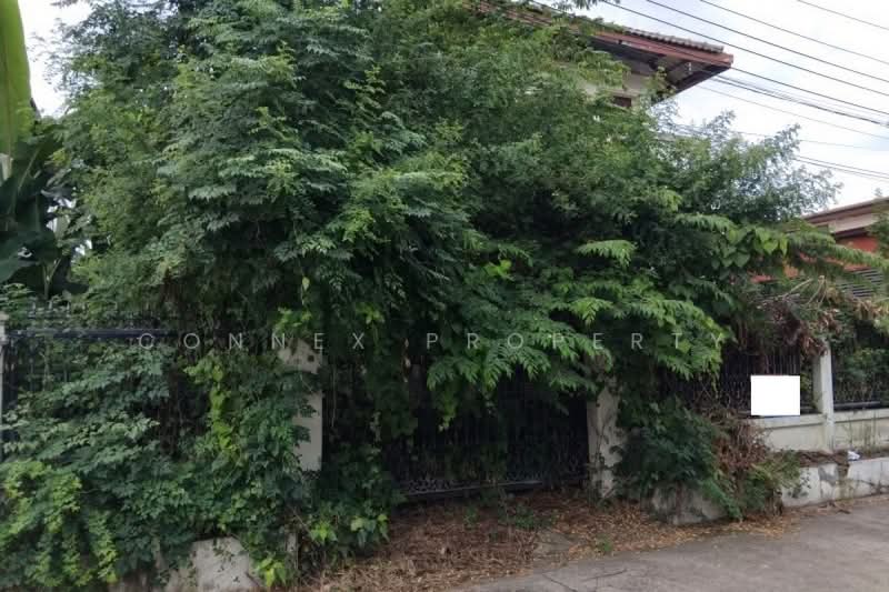 Baan Imperial Park, Bangkok, Soi Muban Imperial Park, Prawet, Bangkok, 3 Bedrooms, 174 sqm, Townhouse For Sale, by Connex Property, 500331607 - DDproperty.com