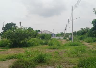 ขาย - ที่ดินแปลงยาว ฉะเชิงเทรา, ฉะเชิงเทรา