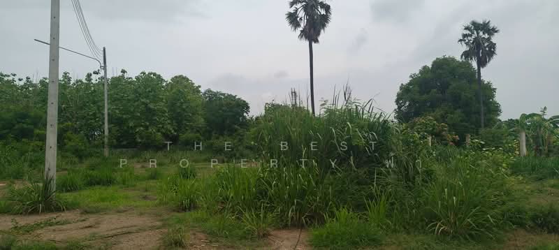 ที่ดินแปลงยาว ฉะเชิงเทรา, ฉะเชิงเทรา, หัวสำโรง, แปลงยาว, ฉะเชิงเทรา, 1,920 ตร.ม., ที่ดิน ขาย, โดย The Best Property ฟ้า, 500331627 - DDproperty.com