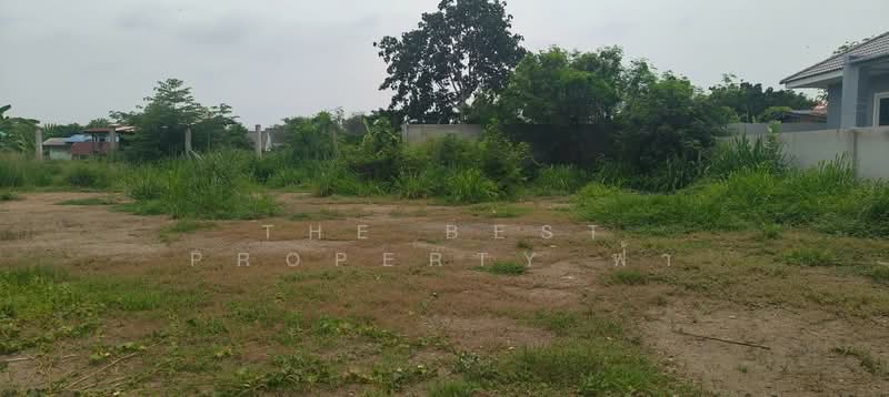 ที่ดินแปลงยาว ฉะเชิงเทรา, Chachoengsao, Hua Samrong, Plaeng Yao, Chachoengsao, , 1,920 sqm, Land For Sale, by The Best Property ฟ้า, 500331627 - DDproperty.com