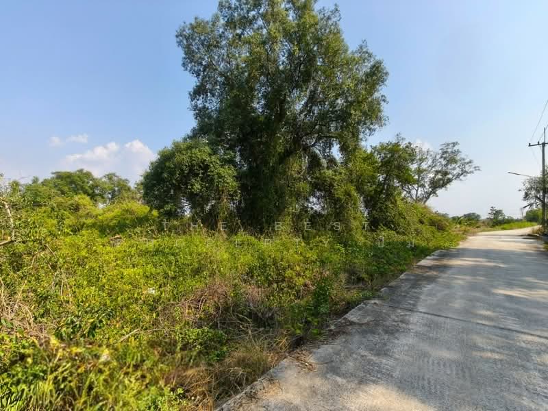 ที่ดินบางปะกง ฉะเชิงเทรา, ฉะเชิงเทรา, เขาดิน, บางปะกง, ฉะเชิงเทรา, 13,712 ตร.ม., ที่ดิน ขาย, โดย The Best Property ปิ๋ม, 500331651 - DDproperty.com