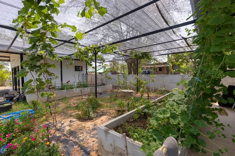 Phibun Mangsahan, Ubon Ratchathani, Sai Mun, Phibun Mangsahan, Ubon Ratchathani, 5 Bedrooms, 275 sqm, Single Detached House For Sale, by John Dupuy, 500331688 - DDproperty.com