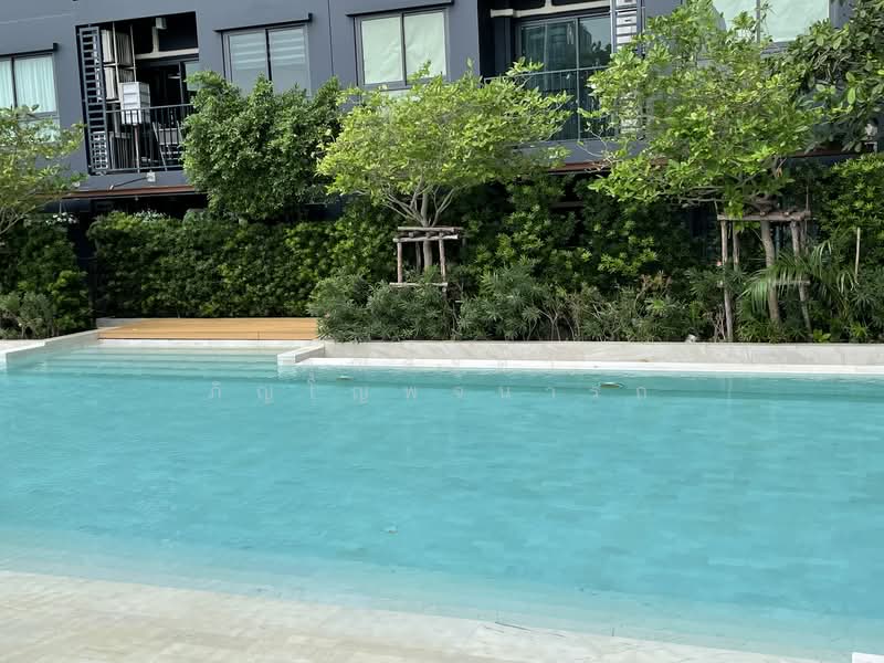 IDEO Sukhumvit 93 : ไอดีโอ สุขุมวิท 93, กรุงเทพ, 2331 ซอยสุขุมวิท 93, บางจาก, พระโขนง, กรุงเทพ, 52 ตร.ม., คอนโด ให้เช่า, โดย คุณศรุดา ภิญโญพจนารถ, 500331697 - DDproperty.com