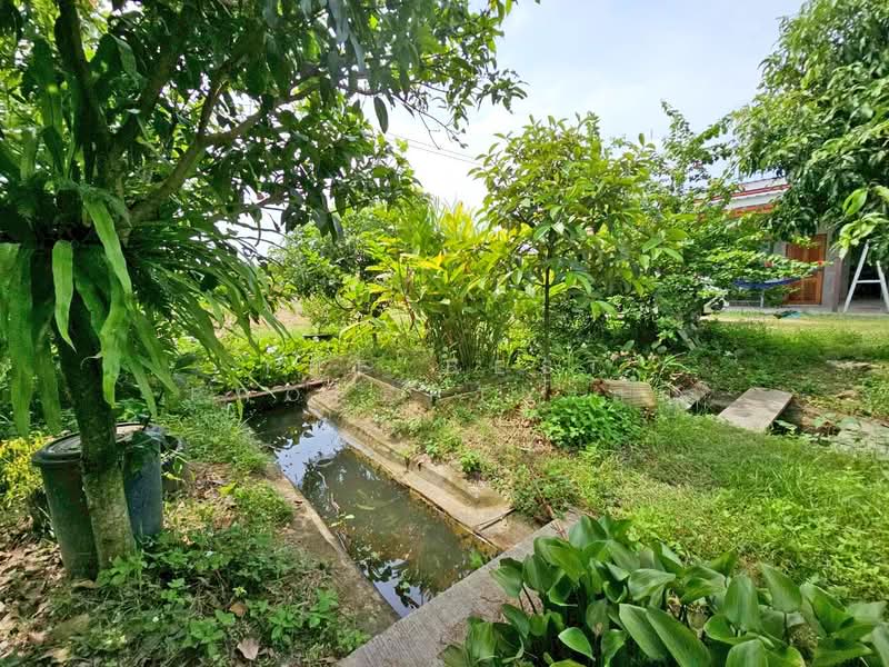 บ้านเดี่ยวพร้อมที่ดินเกาะจันทร์ ชลบุรี, Chon Buri (Pattaya), Ko Chun, Ko Chan, Chon Buri (Pattaya), 2 Bedrooms, 100 sqm, Single Detached House For Sale, by The Best Property ส้ม, 500331704 - DDproperty.com