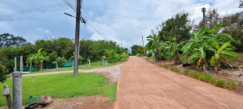 ที่ดินพร้อมสิ่งปลูกสร้างนายายอาม จันทบุรี, Chanthaburi, Sanam-chai, Na Yai Am, Chanthaburi, , 8,416 sqm, Land For Sale, by The Best Property อีฟ, 500331739 - DDproperty.com