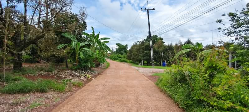 ที่ดินพร้อมสิ่งปลูกสร้างนายายอาม จันทบุรี, Chanthaburi, Sanam-chai, Na Yai Am, Chanthaburi, , 8,416 sqm, Land For Sale, by The Best Property อีฟ, 500331739 - DDproperty.com