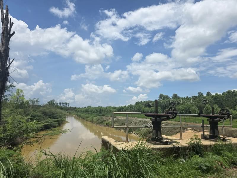 Agricultural Land for Sale – 26 Rai Only 130,000 THB per rai Next to a canal, Prachin Buri, Prachantakham, Prachantakham, Prachin Buri, , 37,624 sqm, Land For Sale, by RICHWELL INTERPLUS, 500331741 - DDproperty.com