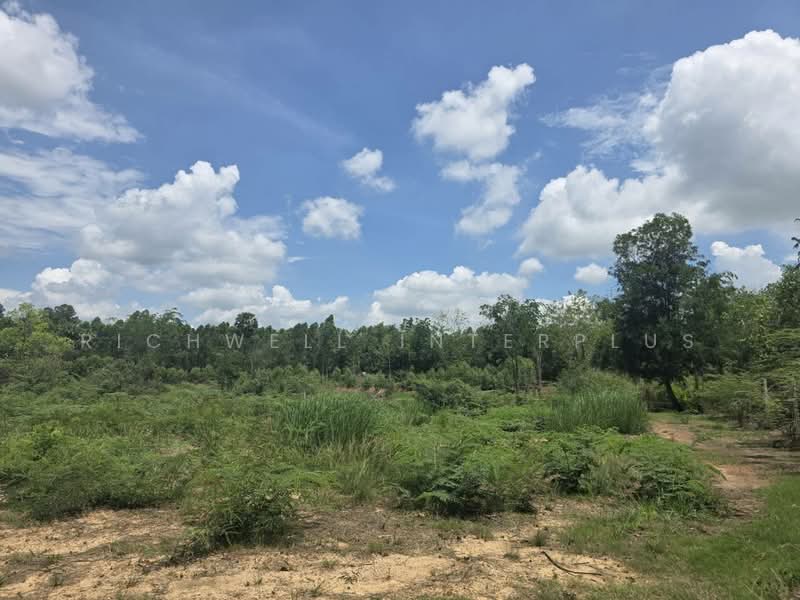 Agricultural Land for Sale – 26 Rai Only 130,000 THB per rai Next to a canal, Prachin Buri, Prachantakham, Prachantakham, Prachin Buri, , 37,624 sqm, Land For Sale, by RICHWELL INTERPLUS, 500331741 - DDproperty.com