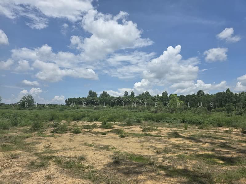 Agricultural Land for Sale – 26 Rai Only 130,000 THB per rai Next to a canal, Prachin Buri, Prachantakham, Prachantakham, Prachin Buri, , 37,624 sqm, Land For Sale, by RICHWELL INTERPLUS, 500331741 - DDproperty.com