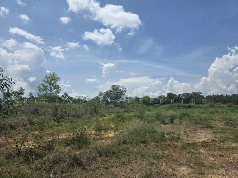 Agricultural Land for Sale – 26 Rai Only 130,000 THB per rai Next to a canal, Prachin Buri, Prachantakham, Prachantakham, Prachin Buri, , 37,624 sqm, Land For Sale, by RICHWELL INTERPLUS, 500331741 - DDproperty.com