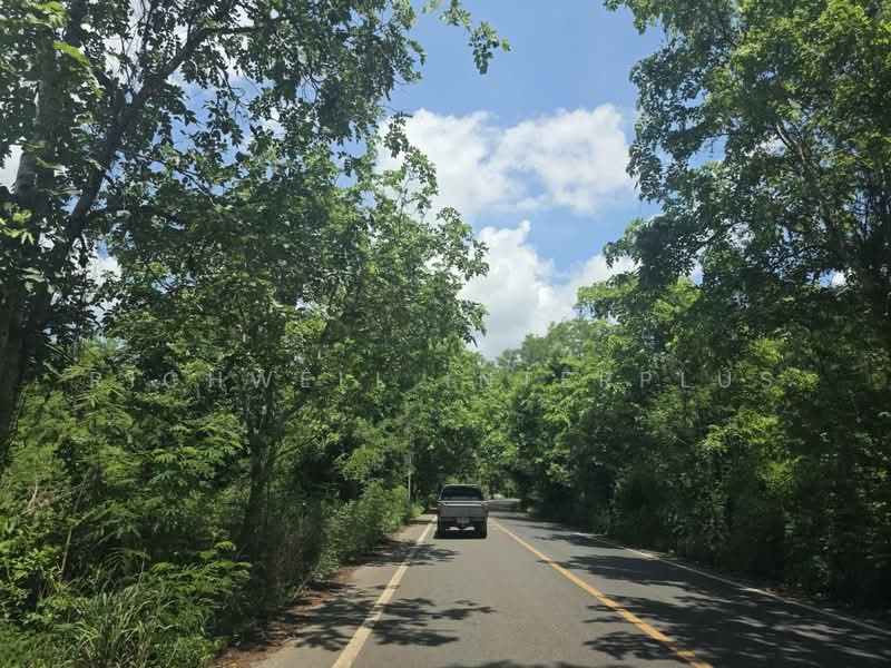 Agricultural Land for Sale – 26 Rai Only 130,000 THB per rai Next to a canal, Prachin Buri, Prachantakham, Prachantakham, Prachin Buri, , 37,624 sqm, Land For Sale, by RICHWELL INTERPLUS, 500331741 - DDproperty.com