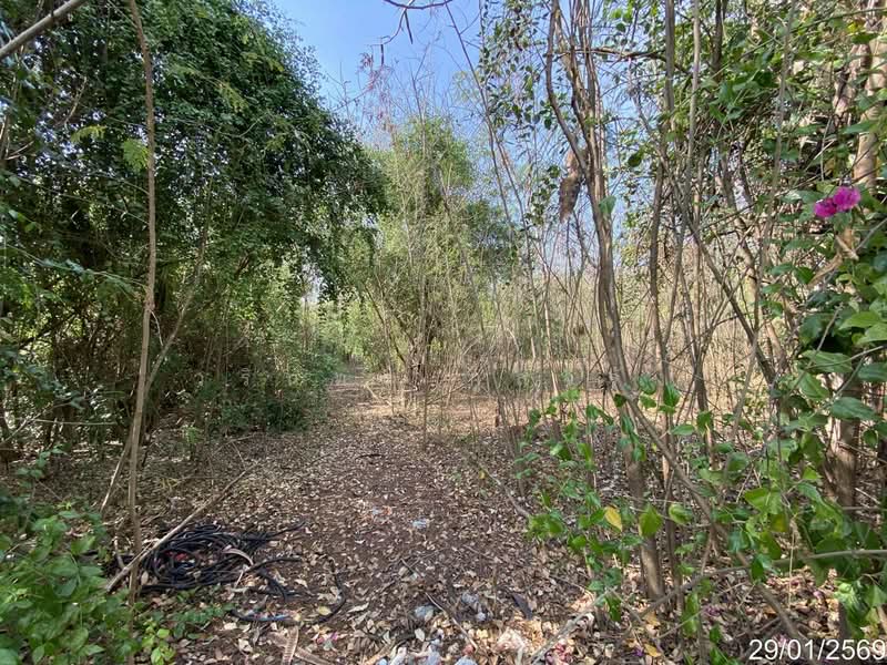 บางปะกง, Chachoengsao, สิริโสธร, Saen Phu Dat, Ban Pho, Chachoengsao, , 2,212 sqm, Land For Sale, by วรินทร กูลจีรัง, 500331748 - DDproperty.com