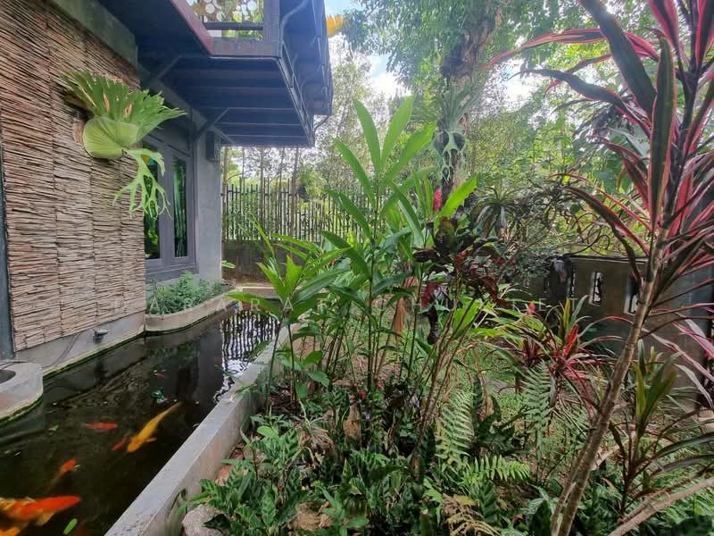 บ้านแม่ขัวมุง, Chiang Mai, Chang Phuak, Muang Chiang Mai, Chiang Mai, 5 Bedrooms, 300 sqm, Single Detached House For Rent, by Dararat Chukiet, 500331764 - DDproperty.com