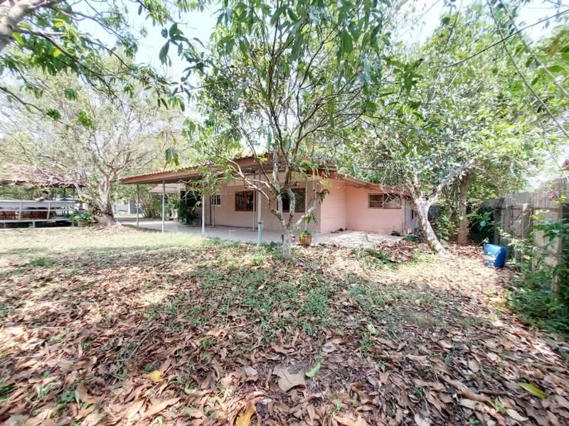 ที่ดินพร้อมบ้านปากพลี นครนายก, Nakhon Nayok, Nong Saeng, Pak Phli, Nakhon Nayok, , 1,420 sqm, Land For Sale, by The Best Property   โจ, 500331770 - DDproperty.com