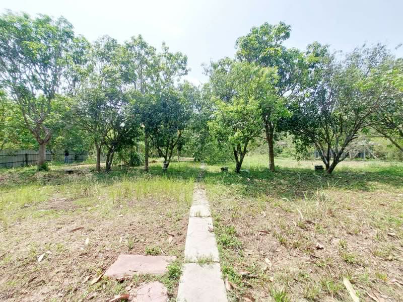 ที่ดินพร้อมบ้านปากพลี นครนายก, นครนายก, หนองแสง, ปากพลี, นครนายก, 1,420 ตร.ม., ที่ดิน ขาย, โดย The Best Property   โจ, 500331770 - DDproperty.com