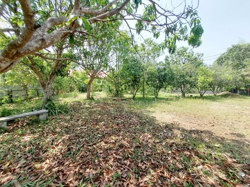 ที่ดินพร้อมบ้านปากพลี นครนายก, Nakhon Nayok, Nong Saeng, Pak Phli, Nakhon Nayok, , 1,420 sqm, Land For Sale, by The Best Property   โจ, 500331770 - DDproperty.com