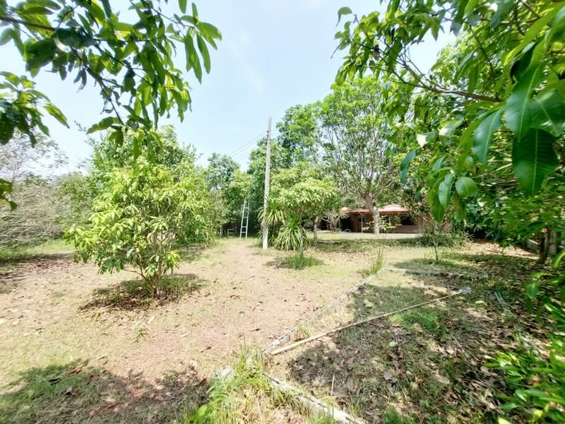 ที่ดินพร้อมบ้านปากพลี นครนายก, Nakhon Nayok, Nong Saeng, Pak Phli, Nakhon Nayok, , 1,420 sqm, Land For Sale, by The Best Property   โจ, 500331770 - DDproperty.com