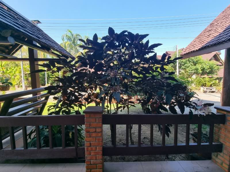 ถนนแม่ขัวมุง, Chiang Mai, Chang Phuak, Muang Chiang Mai, Chiang Mai, 4 Bedrooms, 250 sqm, Single Detached House For Rent, by Dararat Chukiet, 500331773 - DDproperty.com