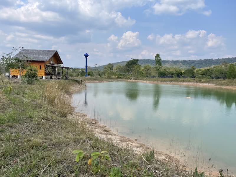 ขายที่ดินสวนป่าแนว Eco Living ติดวิวเขาใหญ่เนื้อที่ 25 ไร่ โฉนดนส.4 ล้อมรอบด้วยธรรมชาติ, ปราจีนบุรี, คำโตนด, ประจันตคาม, ปราจีนบุรี, 41,204 ตร.ม., ที่ดิน ขาย, โดย RICHWELL INTERPLUS, 500331827 - DDproperty.com