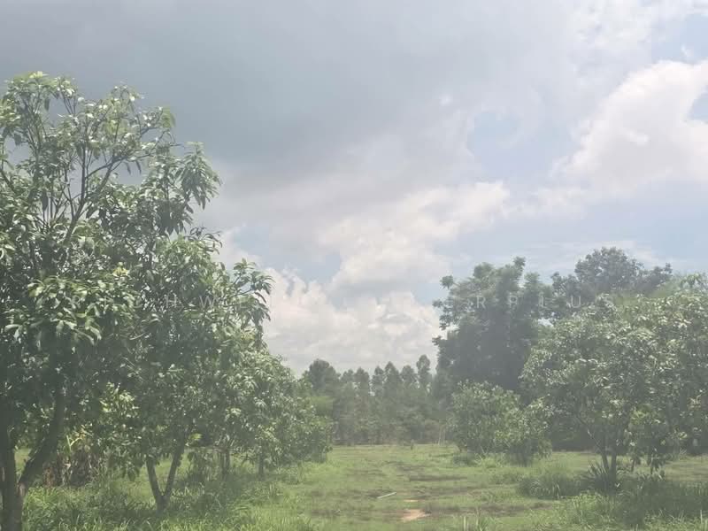 Selling a 25-rai eco-living forest land plot with Khao Yai mountain views, Prachin Buri, Kham Tanot, Prachantakham, Prachin Buri, , 41,204 sqm, Land For Sale, by RICHWELL INTERPLUS, 500331827 - DDproperty.com