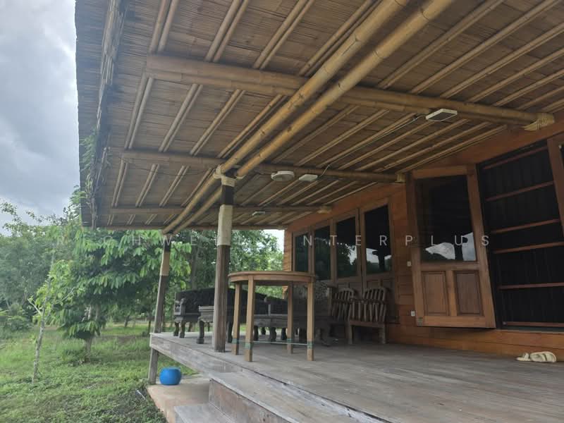 Selling a 25-rai eco-living forest land plot with Khao Yai mountain views, Prachin Buri, Kham Tanot, Prachantakham, Prachin Buri, , 41,204 sqm, Land For Sale, by RICHWELL INTERPLUS, 500331827 - DDproperty.com